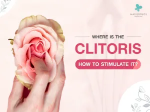 Where is the clitoris
