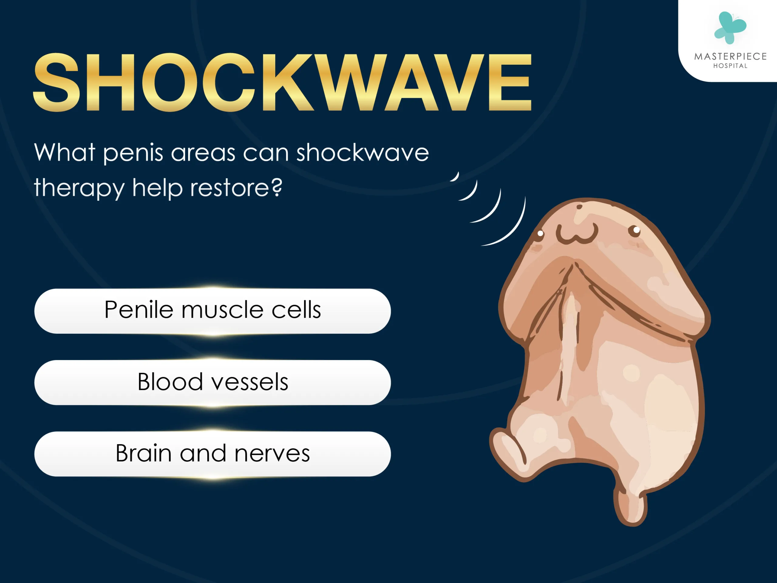 What penis areas can shockwave therapy help restore?