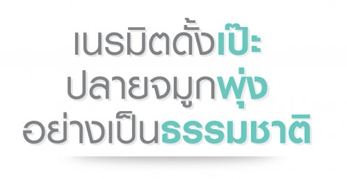 Sale-Kit-Tip-Ball-03 เสริมจมูกแบบยืดปลายพุ่งพิเศษ tipball