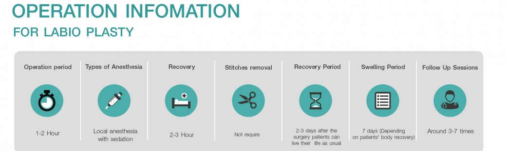 Operation Information for LABIO PLASTY