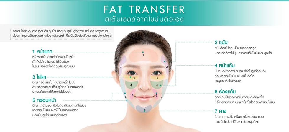 Fat transfer สเต็มเซลล์จากไขมันตัวเอง