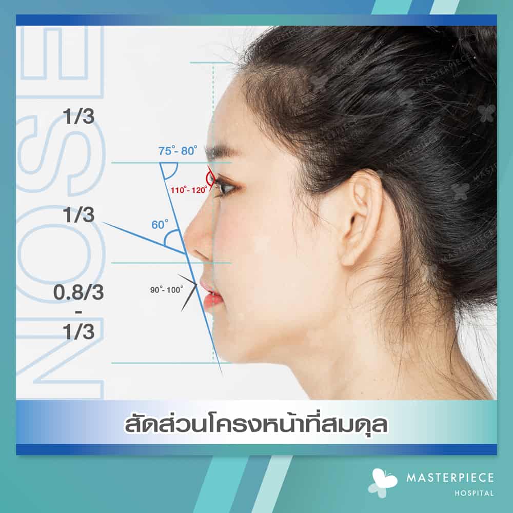 สัดส่วนโครงหน้าที่สมดุล