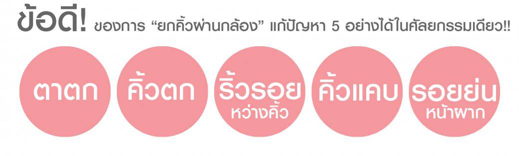 จุดเด่นยกคิ้ว1