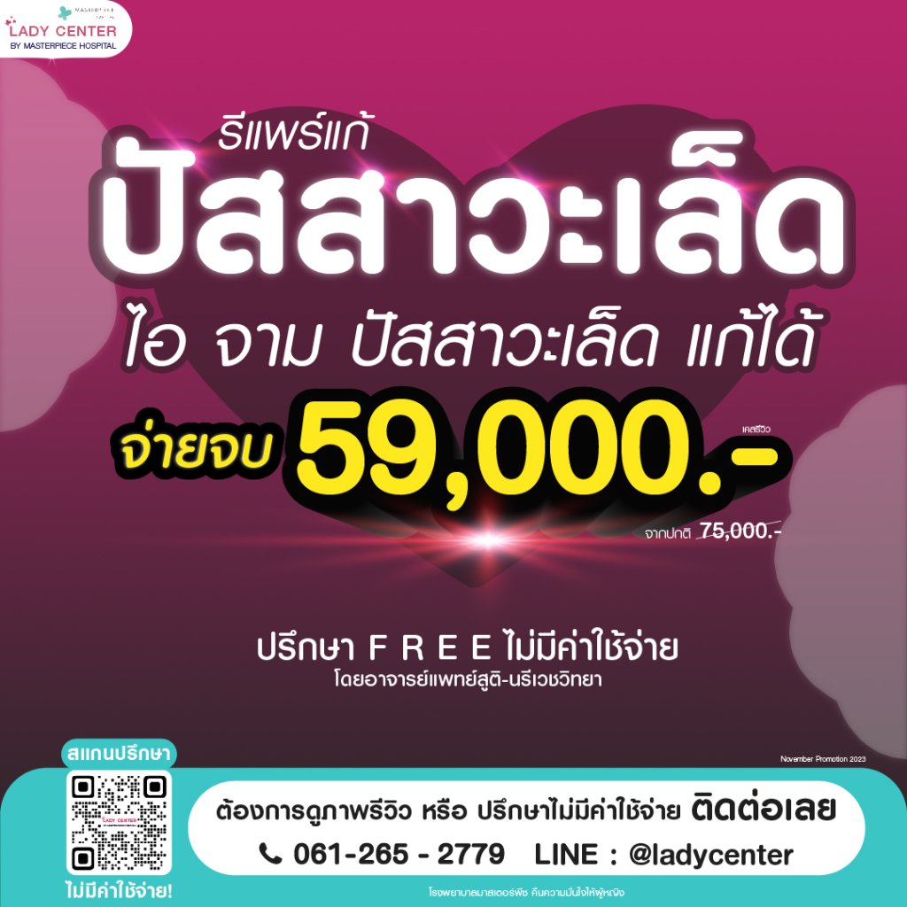 11 โปร 11.11