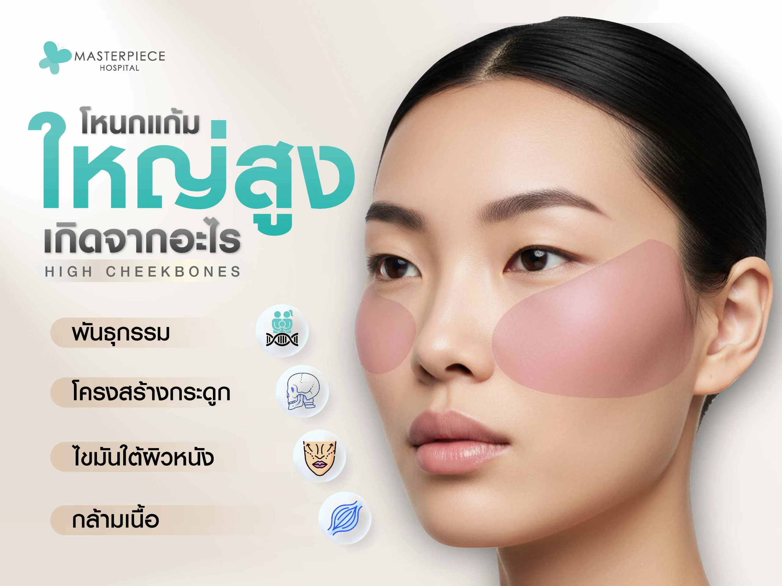 โหนกแก้มสูง เกิดจากอะไร