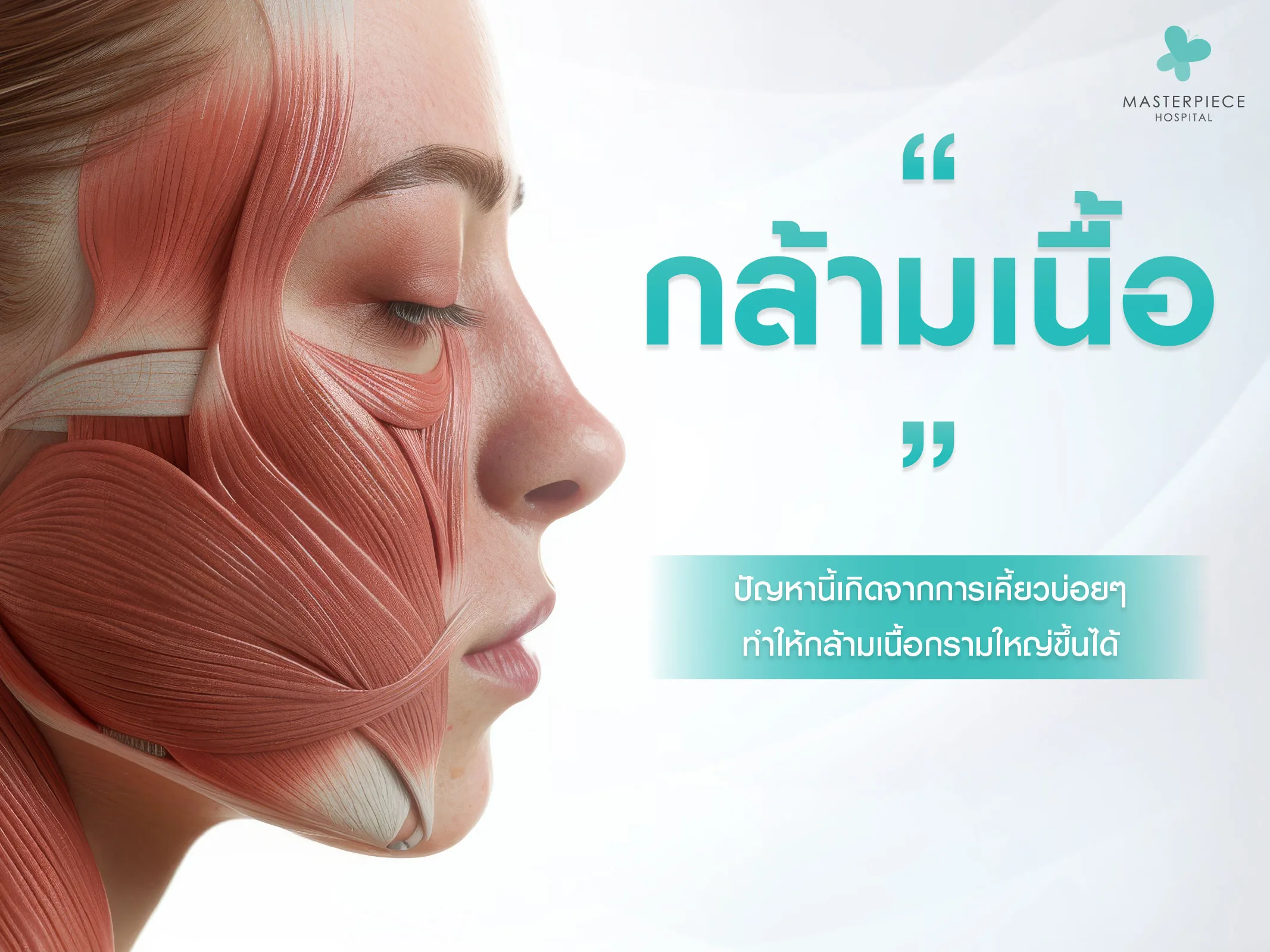 มัดกล้ามเนื้อที่มีขนาดใหญ่