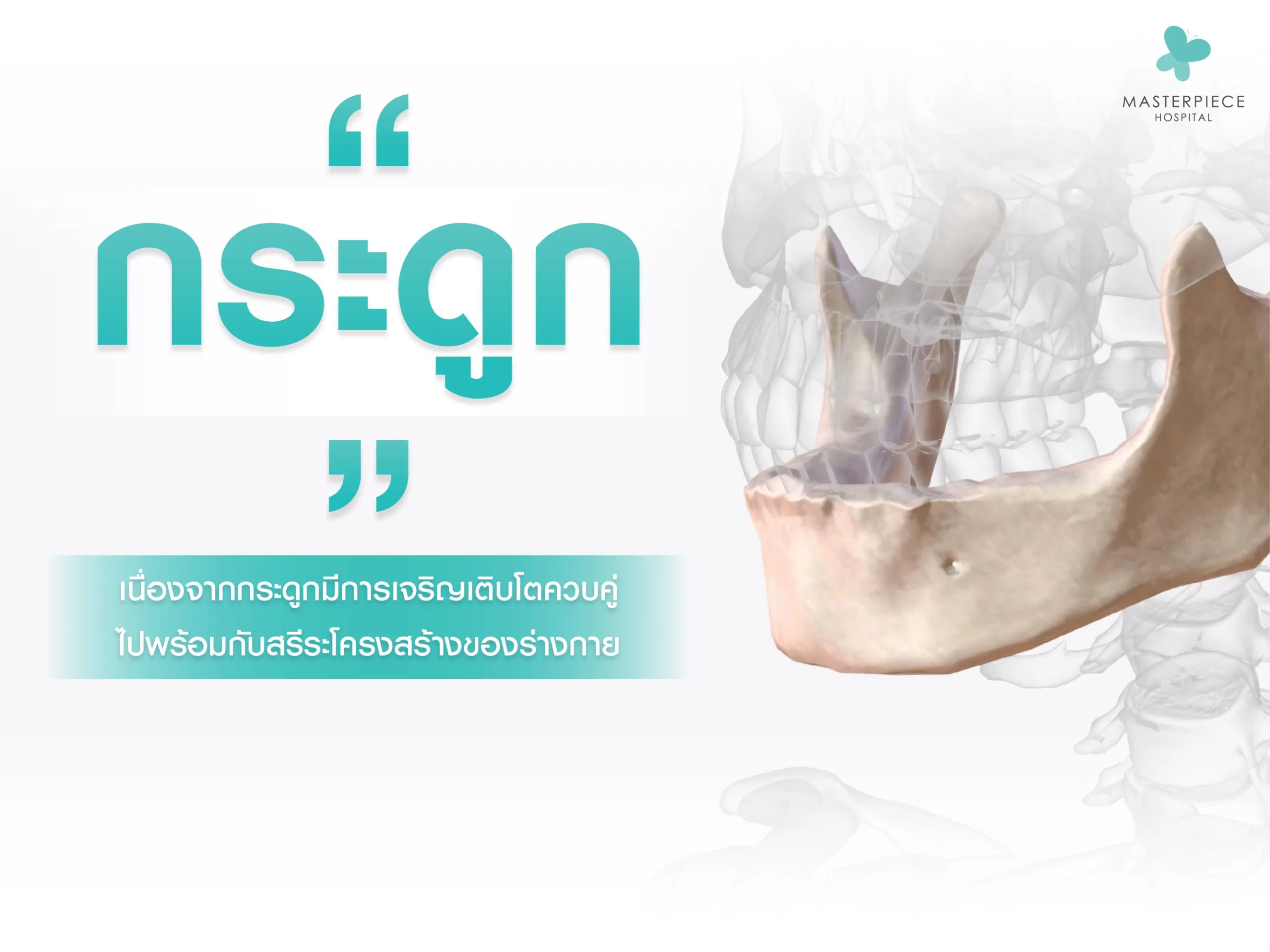 โครงกระดูกส่วนหัวกระโหลกของมนุษย์ ไฮไลท์ส่วนกราม แสดงให้เห็นกรามที่ใหญ่จากระดูก