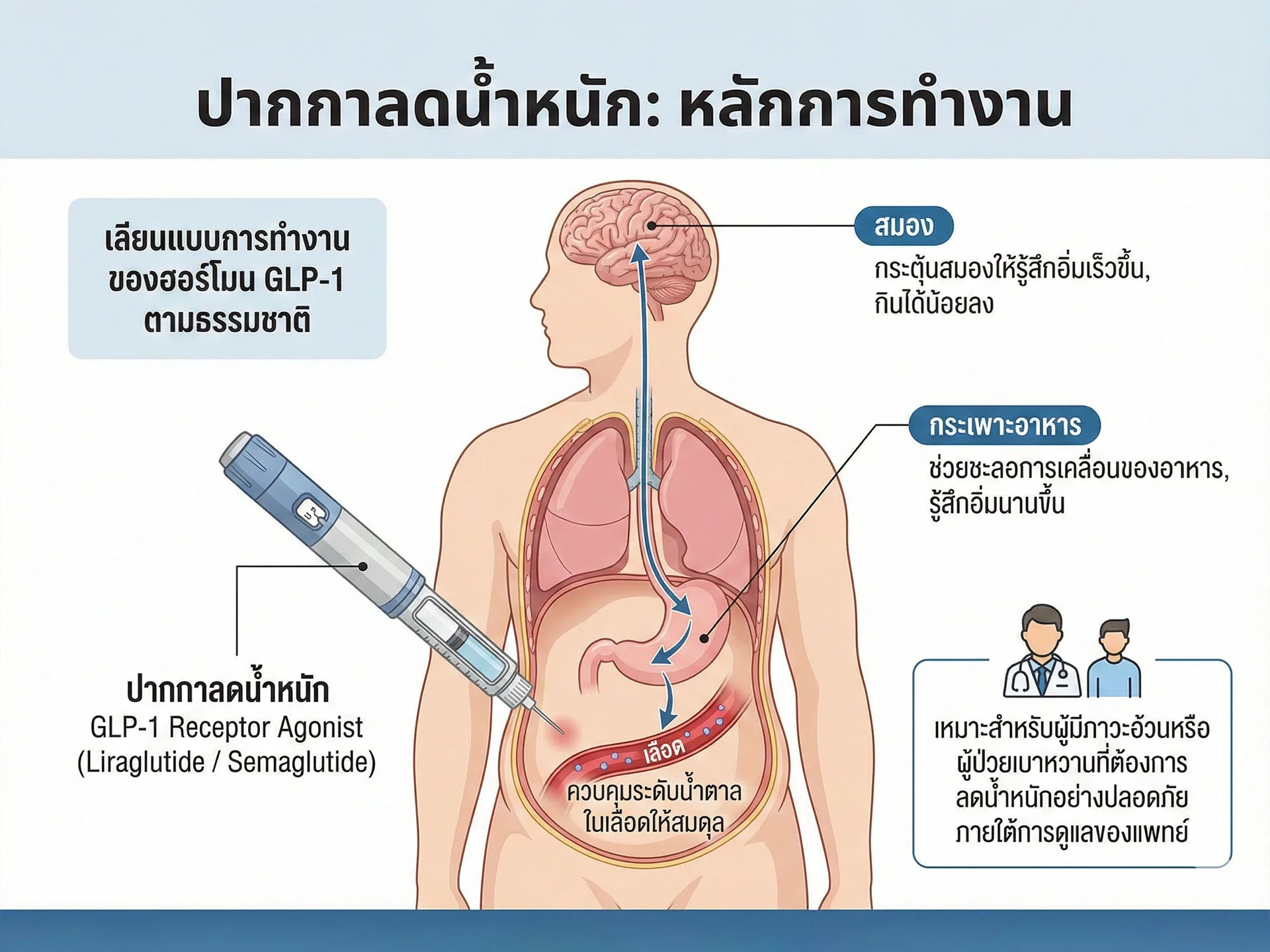 ปากกาลดน้ำหนัก มีหลักการทำงานอย่างไร