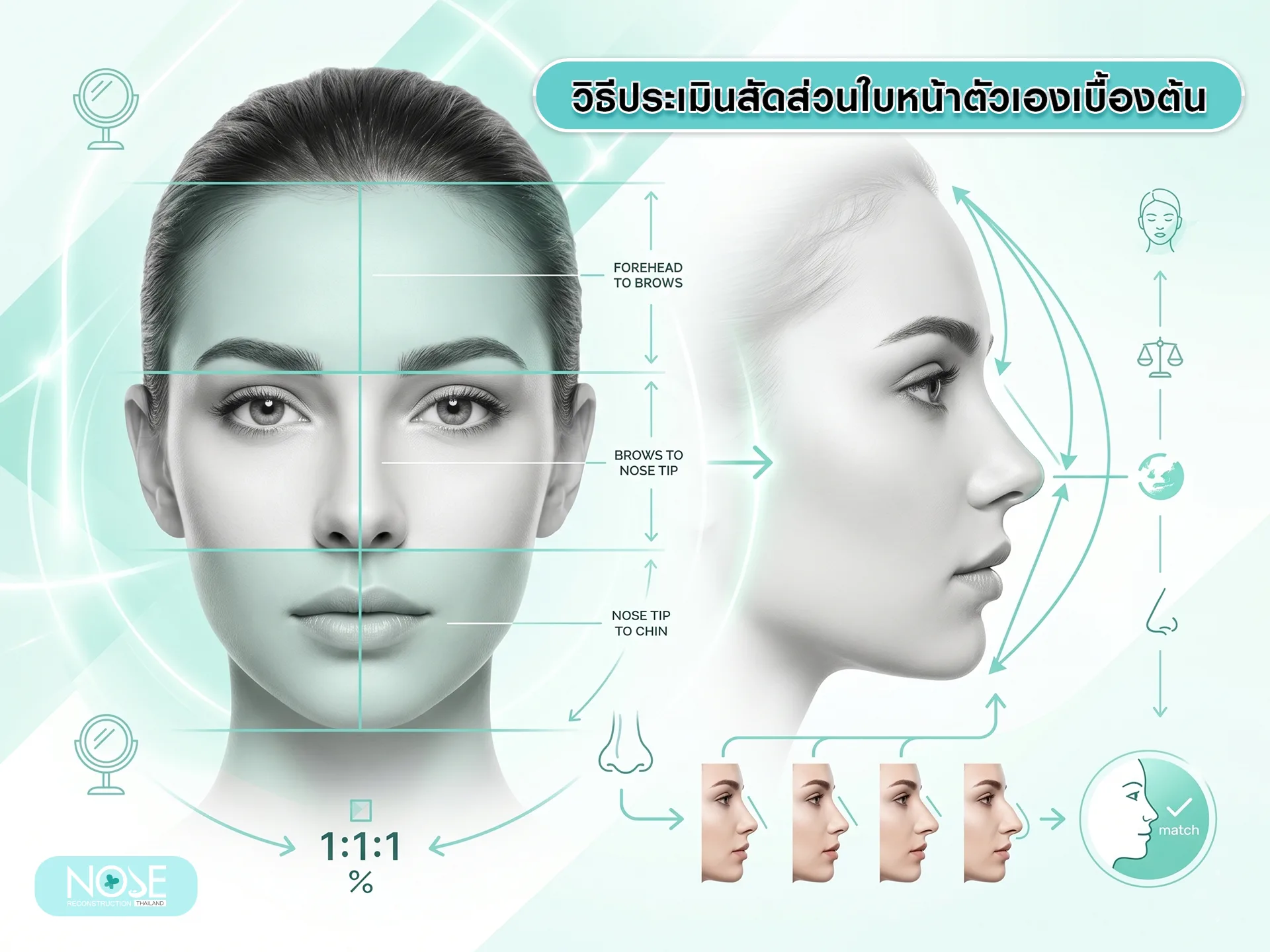 วิธีประเมินสัดส่วนใบหน้า