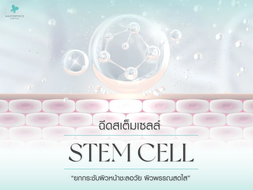 ฉีดสเต็มเซลล์ ( STEM CELL ) ยกกระชับผิวหน้าชะลอวัยผิวพรรณสดใส