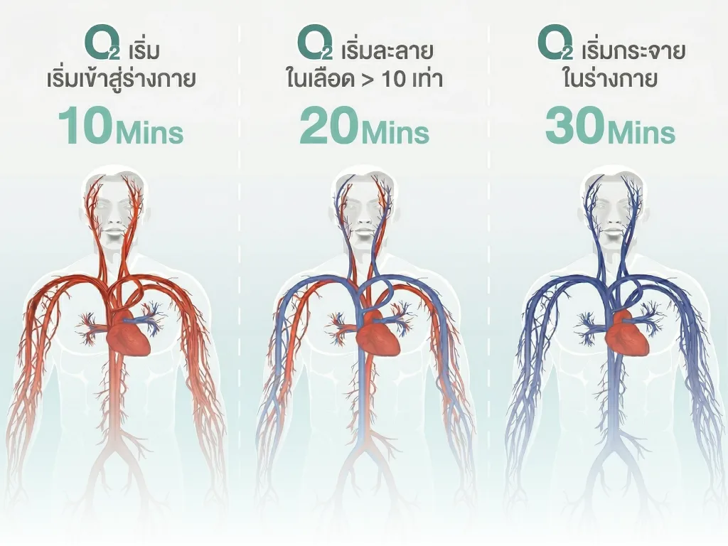 Hyperbaric oxygen therapy ช่วยเรื่องอะไร ดีกับร่างกายอย่างไร ทำไมถึงควรทำ