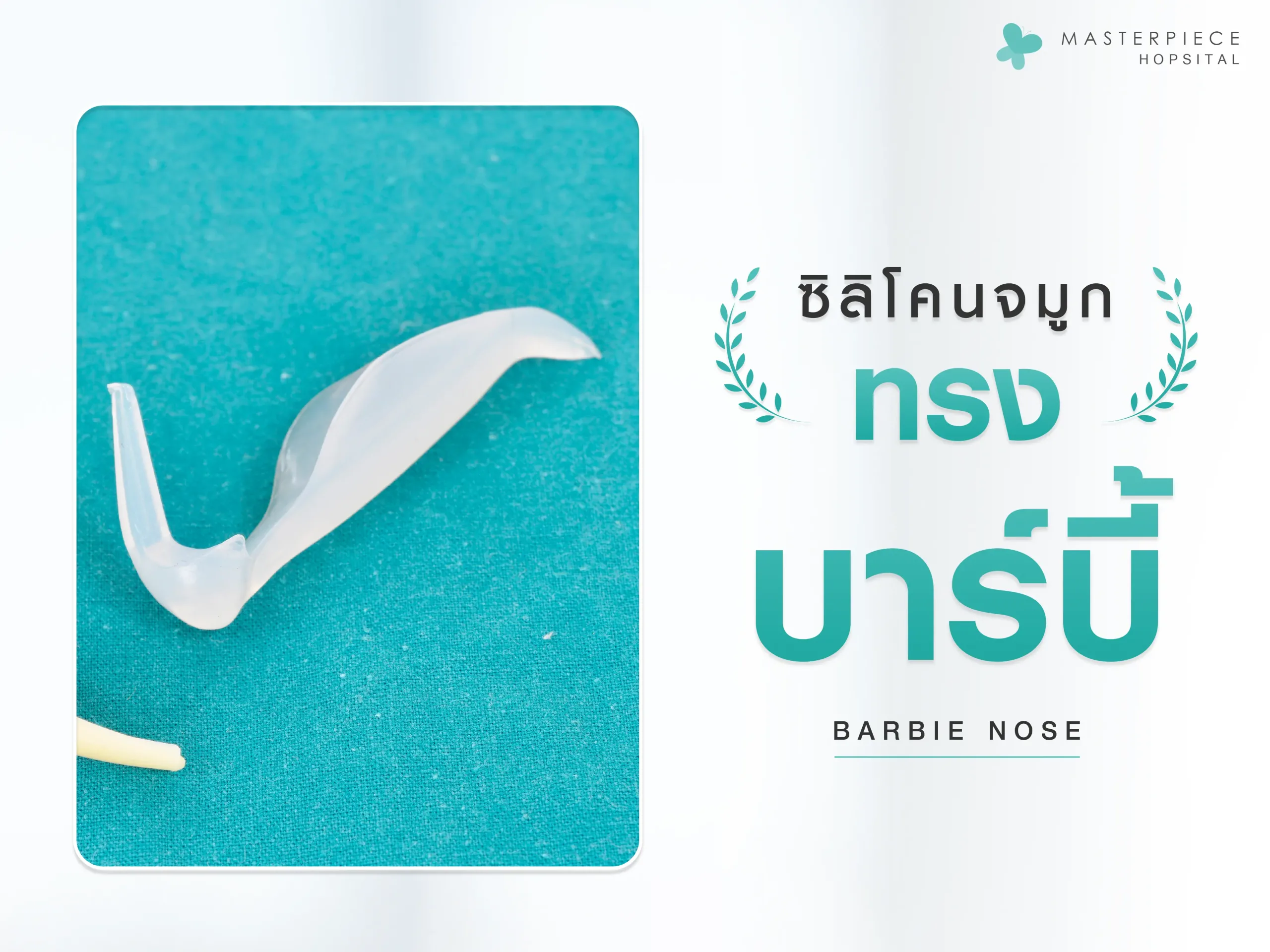 ซิลิโคนเสริมจมูก 2 ทรง กับข้อความ ซิลิโคนจมูกทรงบาร์บี้