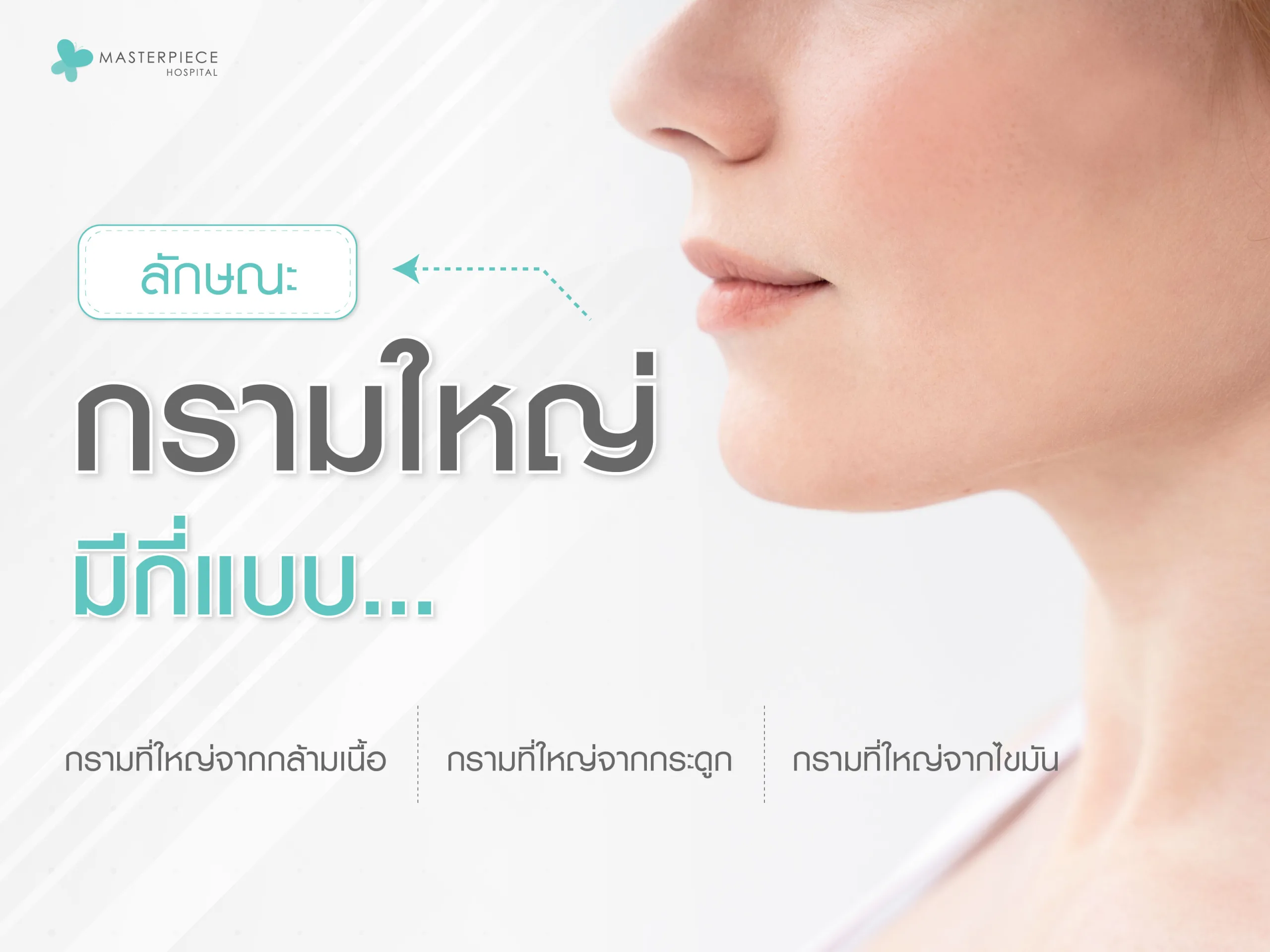 ลักษณะกรามใหญ่มีกี่แบบ