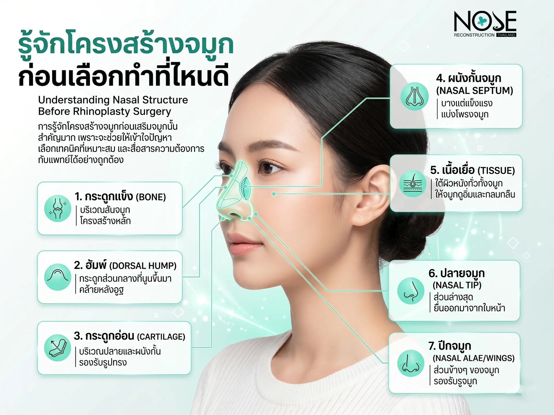 รู้จักโครงสร้างจมูก ก่อนเลือกทำที่ไหนดี