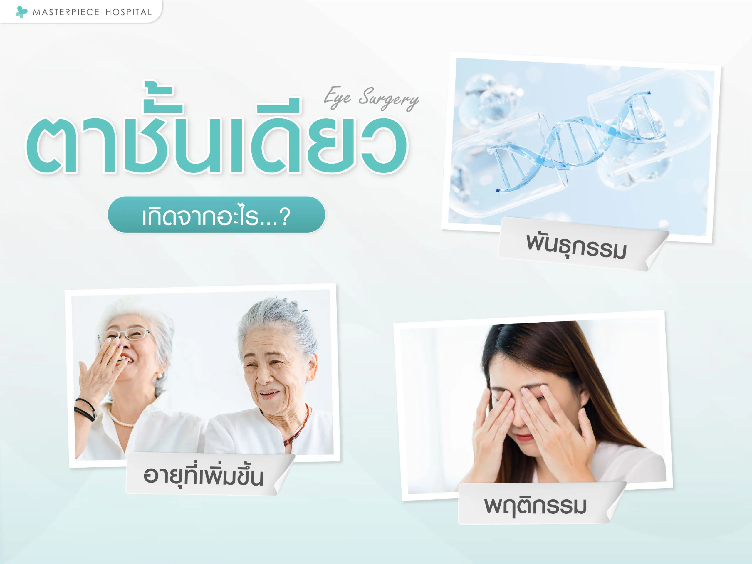 ตาชั้นเดียวเกิดจากอะไร