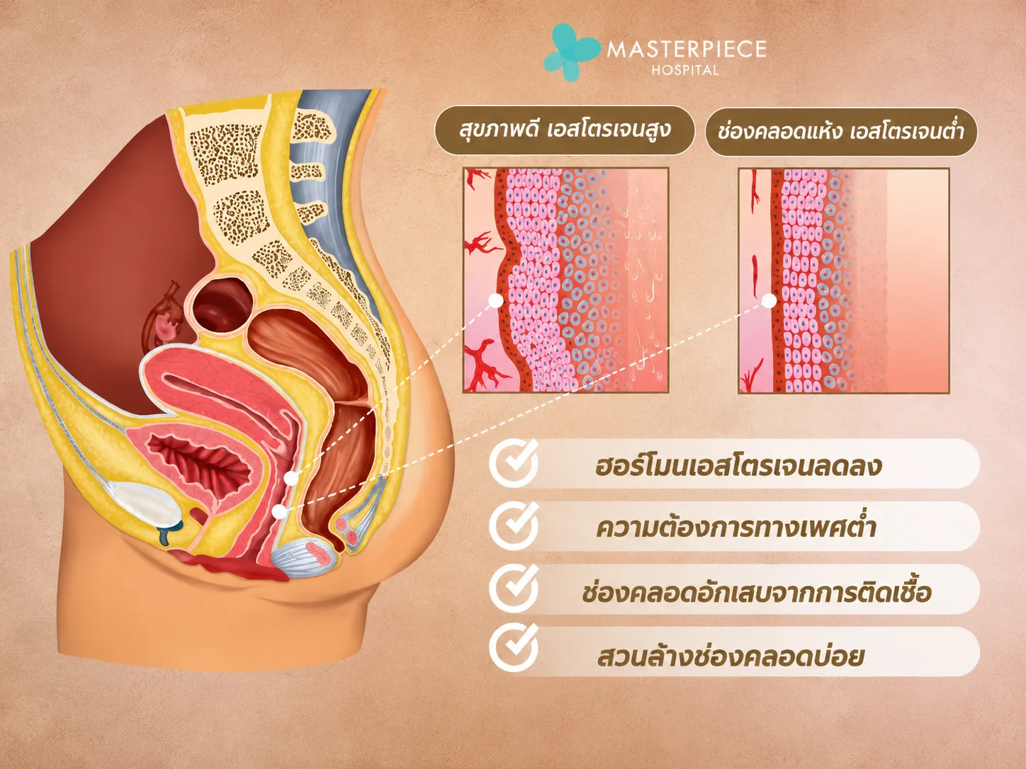ช่องคลอดแห้ง เกิดจากอะไร