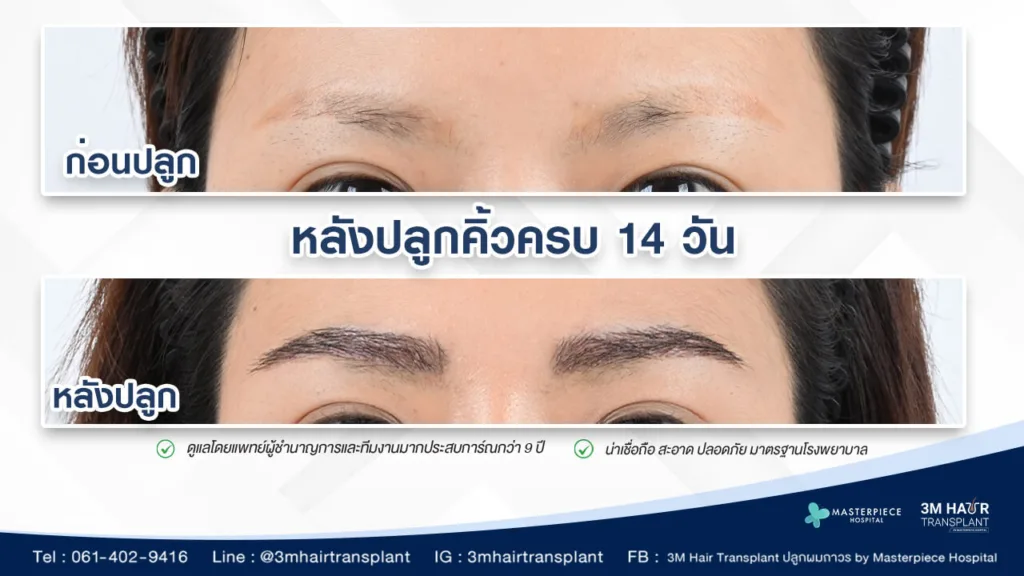 ทรงคิ้วสำหรับผู้หญิง ทรงคิ้วสำหรับผู้หญิง
