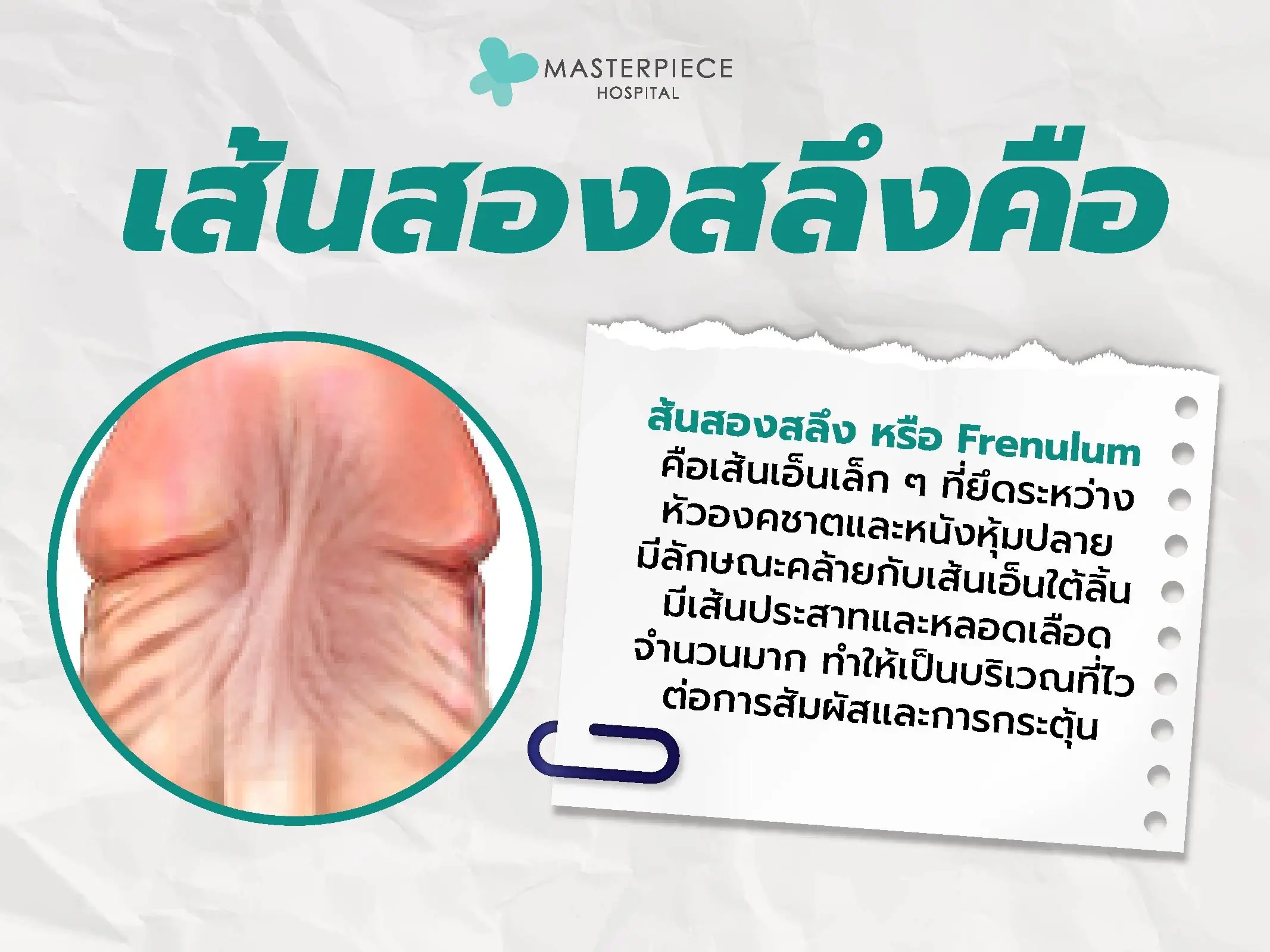 เส้นสองสลึงคือ