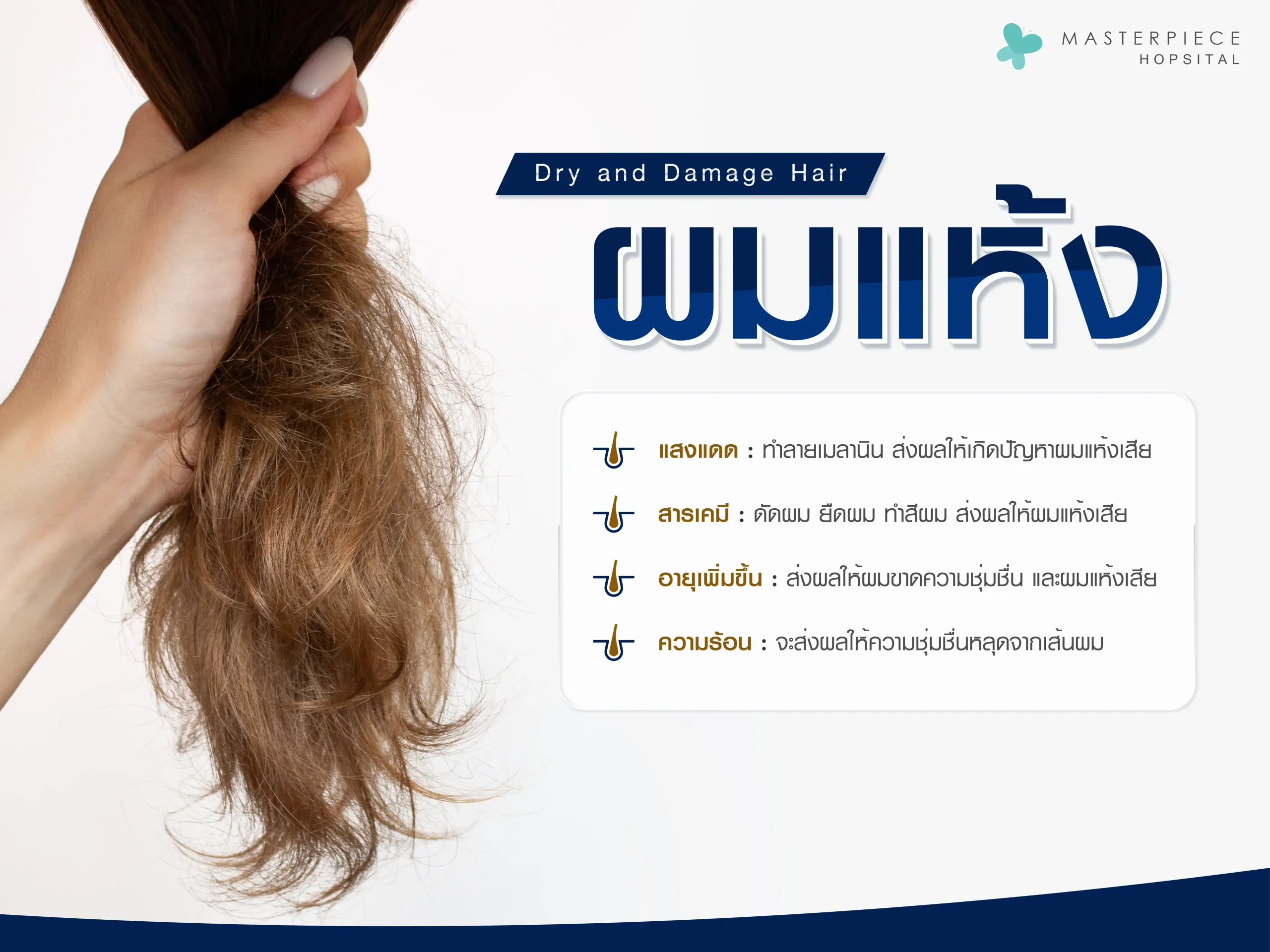 ผมแห้ง สาเหตุ ปัญหา วิธีการรับมือ