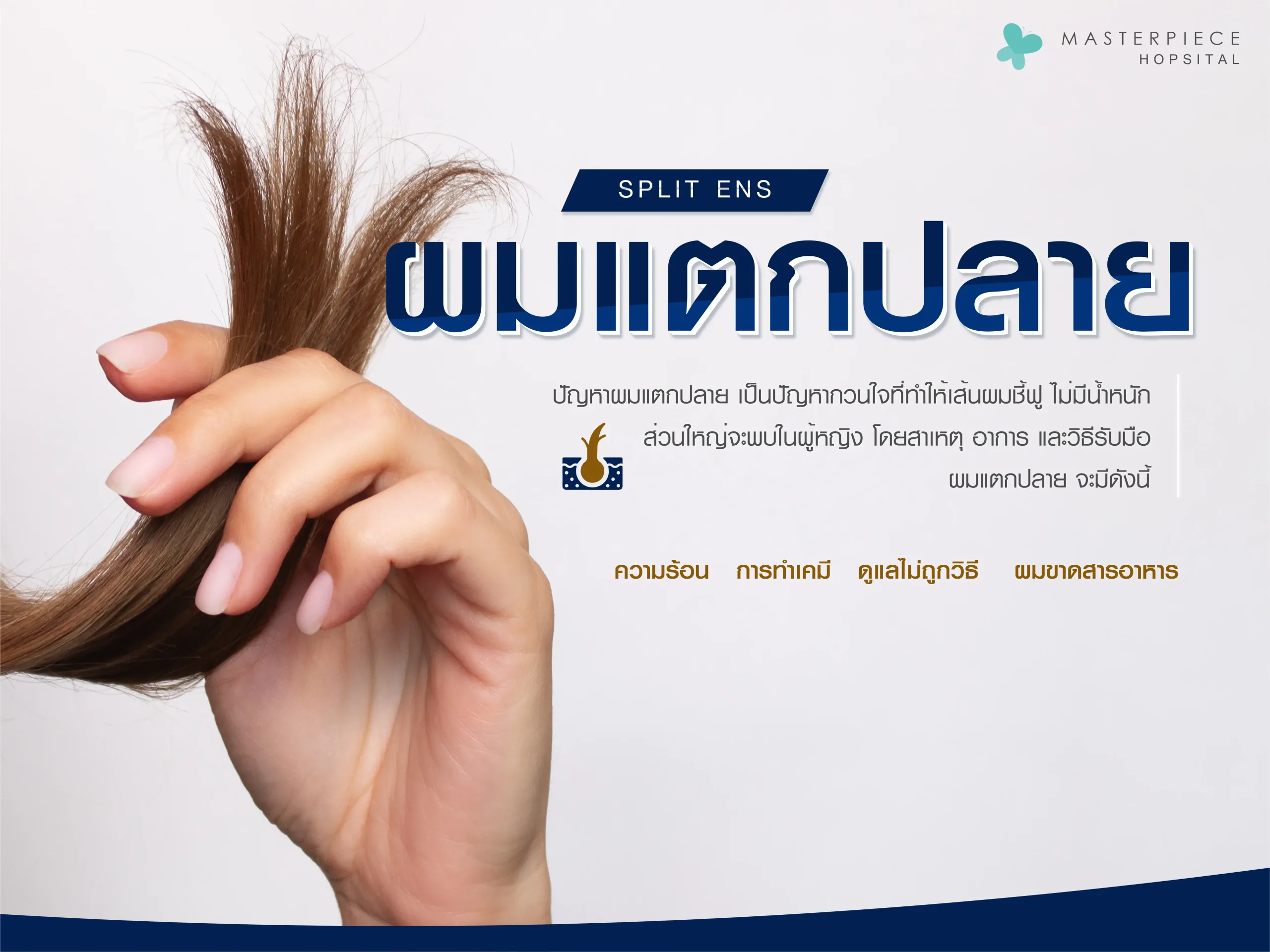 ผมแตกปลาย สาเหตุ ปัญหา วิธีการรับมือ