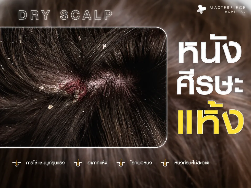 หนังศีรษะ สาเหตุ ปัญหา วิธีการรับมือ