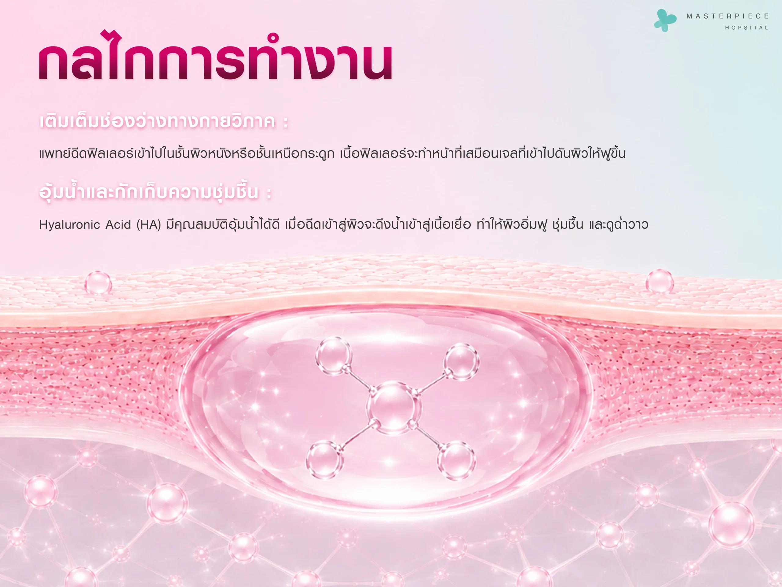 กลไกการทำงานของฟิลเลอร์