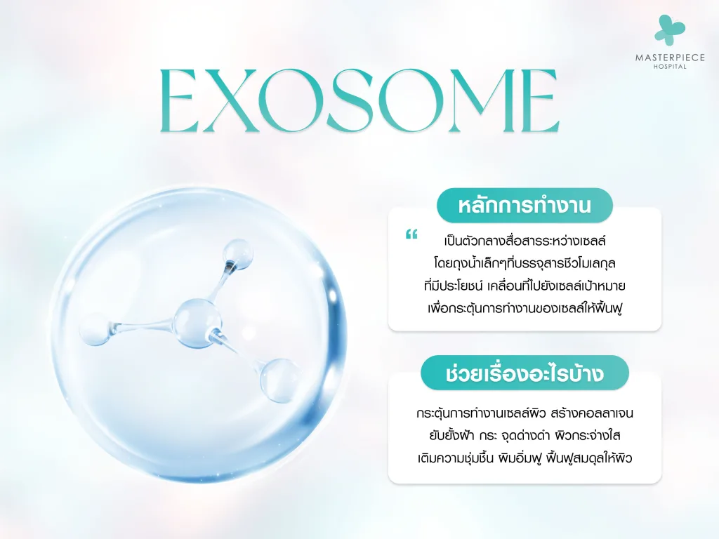 Exosome มีหลักทำงานอย่างไร ช่วยเรื่องอะไร
