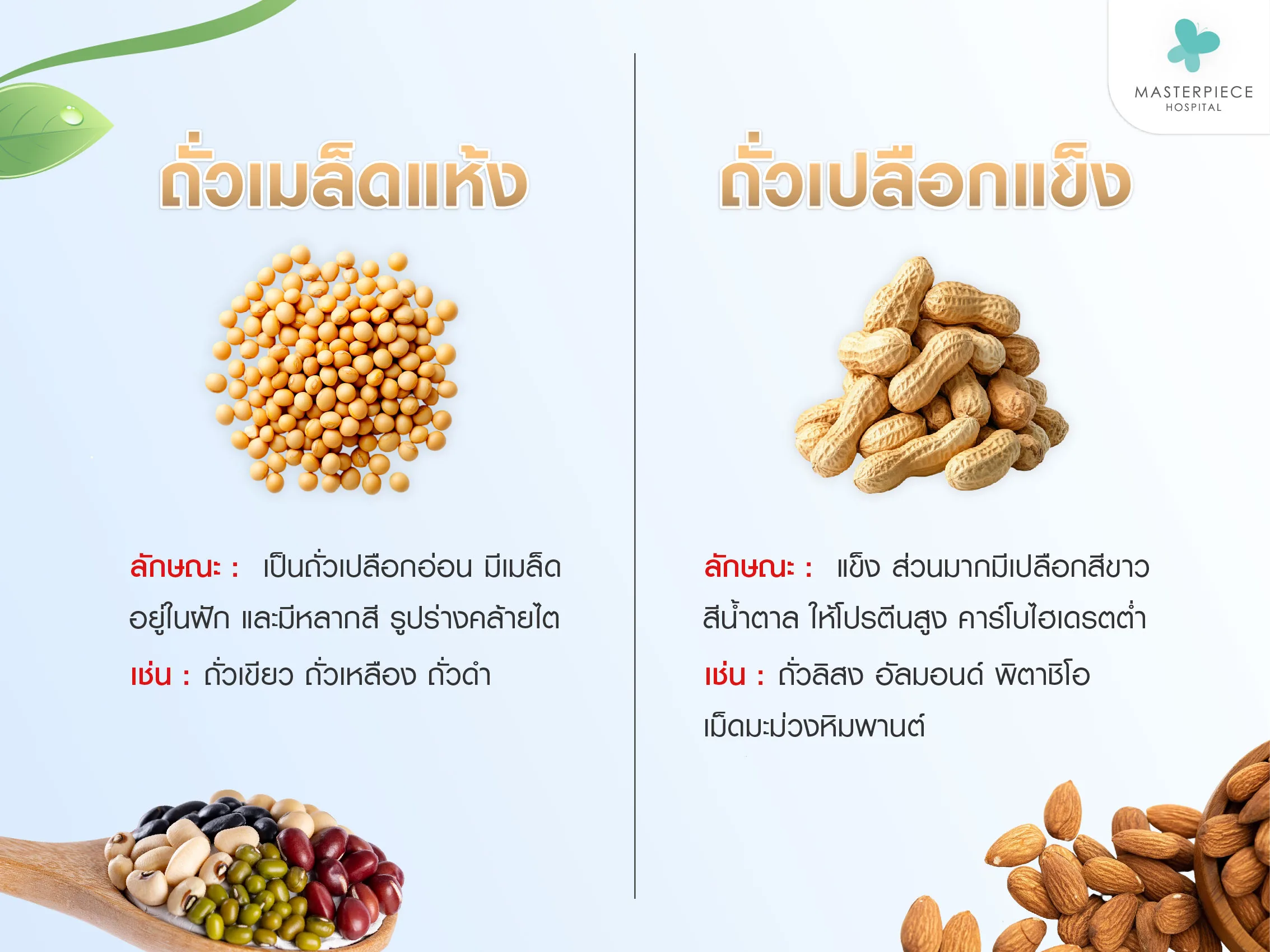 ถั่วแบ่งออก 2 ประเภท