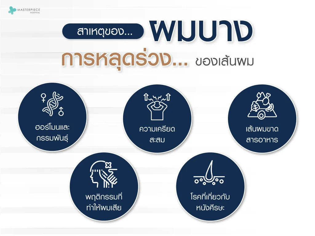 สาเหตุผมบาง การหลุดร่วงของเส้นผม ?