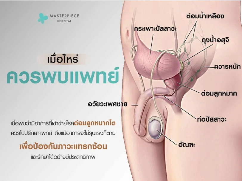 ข้อสังเกตอาการ เมื่อไหร่ควรพบแพทย์