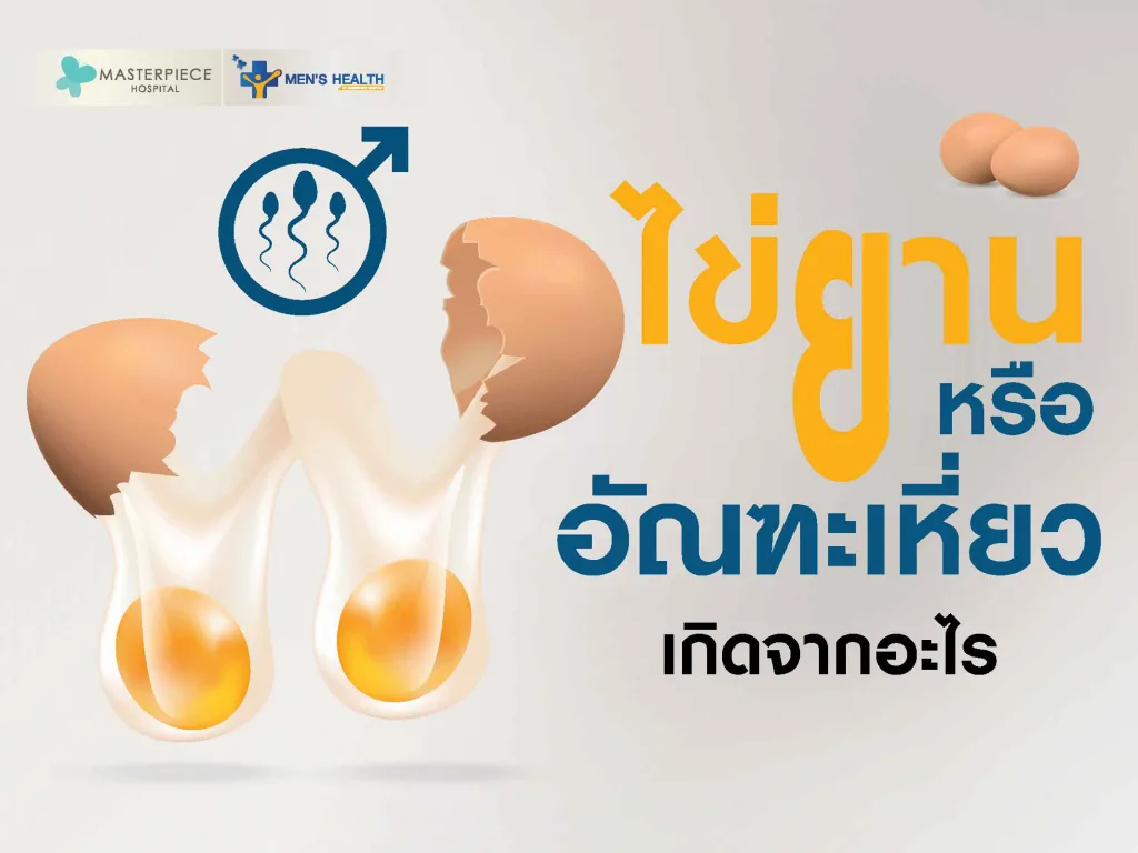 ไข่ยาน หรืออัณฑะเหี่ยว เกิดจากอะไร อันตรายไหม ต้องรักษาหรือไม่