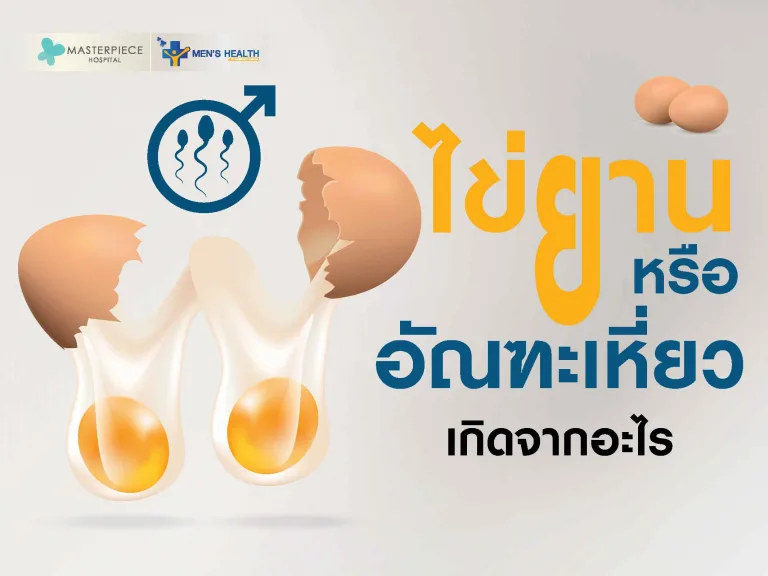 ไข่ยาน หรืออัณฑะเหี่ยว เกิดจากอะไร อันตรายไหม ต้องรักษาหรือไม่