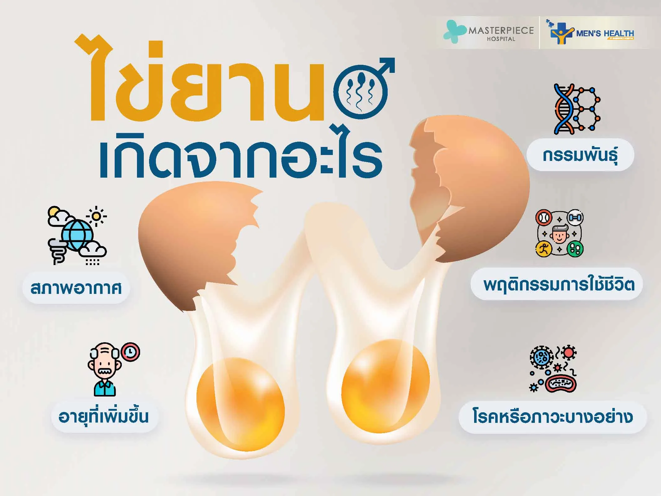 ไข่ยานเกิดจากอะไร