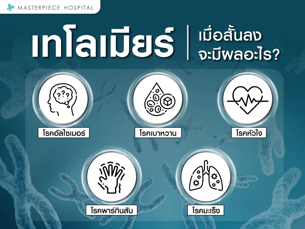 เมื่อเทโลเมียร์สั้นลงจะมีผลอะไร