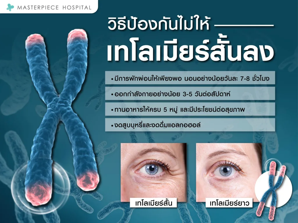 วิธีป้องกันไม่ให้เทโลเมียร์สั้นลง