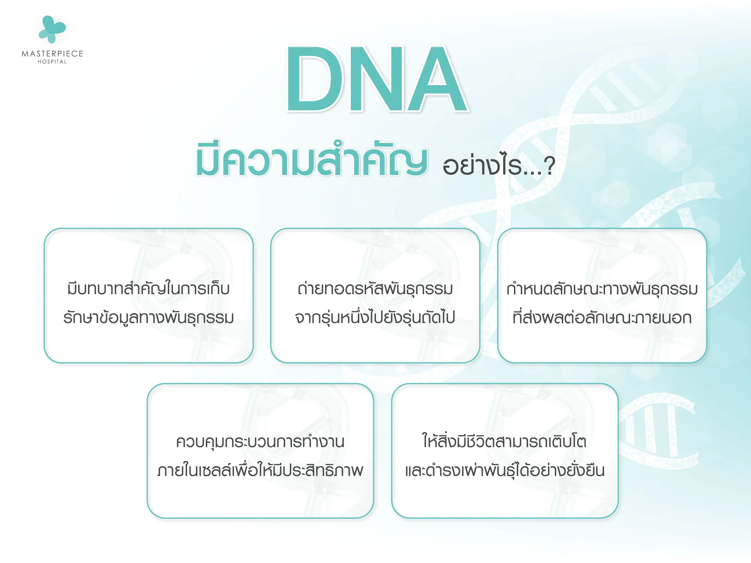 DNA มีความสำคัญอย่างไร