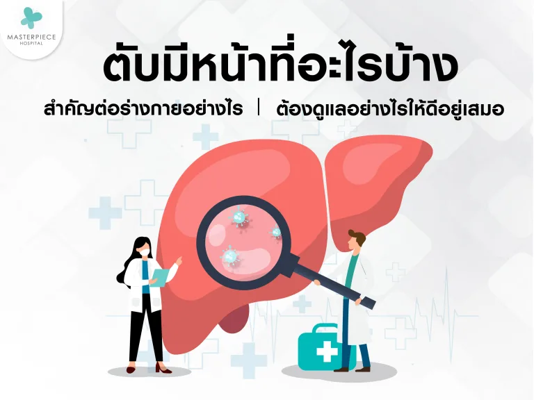 ตับมีหน้าที่