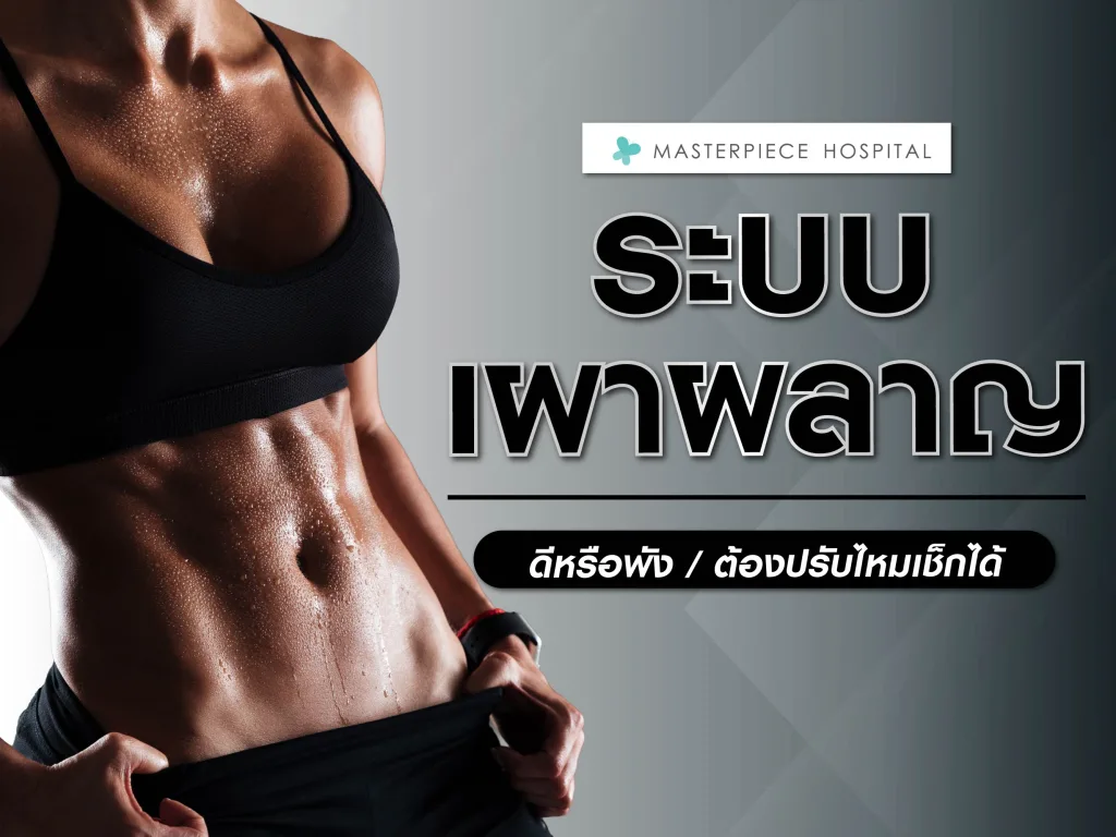 ระบบเผาผลาญ ดีหรือพัง ต้องปรับไหมเช็กได้