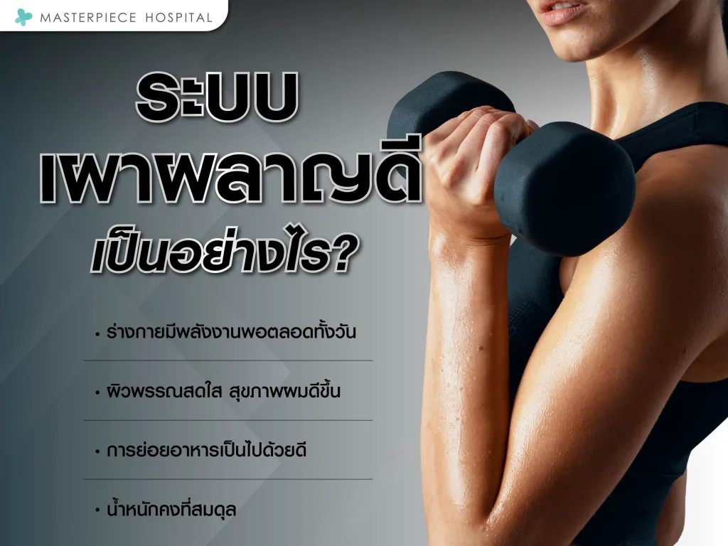 ระบบเผาผลาญดีเป็นอย่างไร