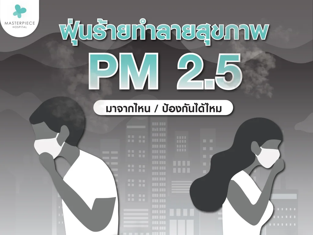 PM 2.5 สิ่งเล็ก ๆ ที่เรียกว่าฝุ่น เป็นภัยกับร่างกายมากกว่าที่คิด