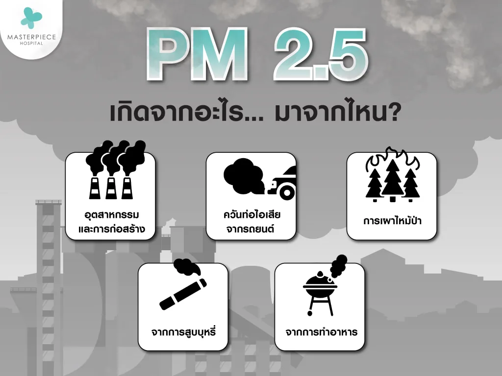 pm 2.5 เกิดจากอะไร