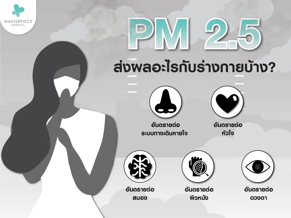 pm 2.5 ส่งผลอะไรกับร่างกายบ้าง
