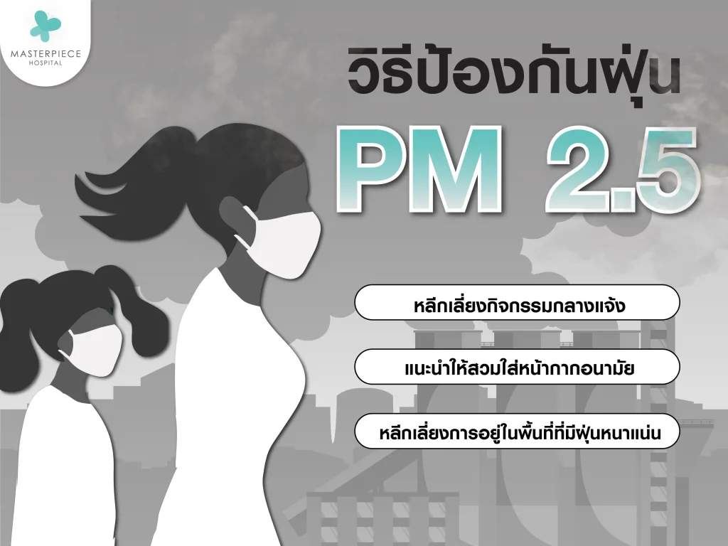 วิธีป้องกันฝุ่น pm 2.5