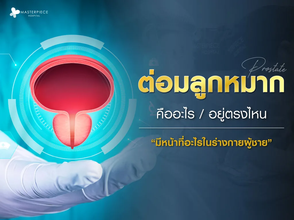 ต่อมลูกหมาก (Prostate) คืออะไร อยู่ตรงไหน มีหน้าที่อะไรในร่างกายผู้ชาย