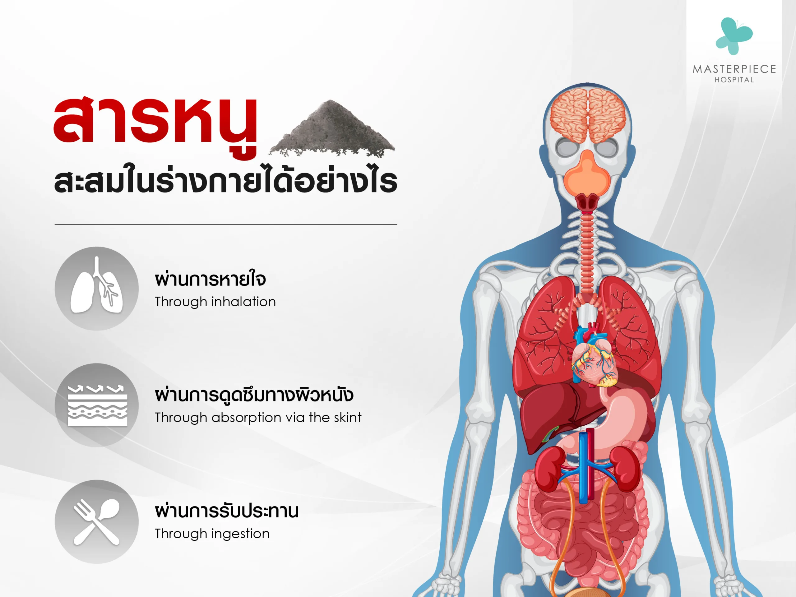 สารหนูสะสมในร่างกาย