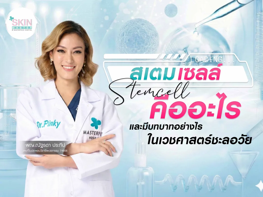 สเต็มเซลล์ (Stem Cell) คืออะไร