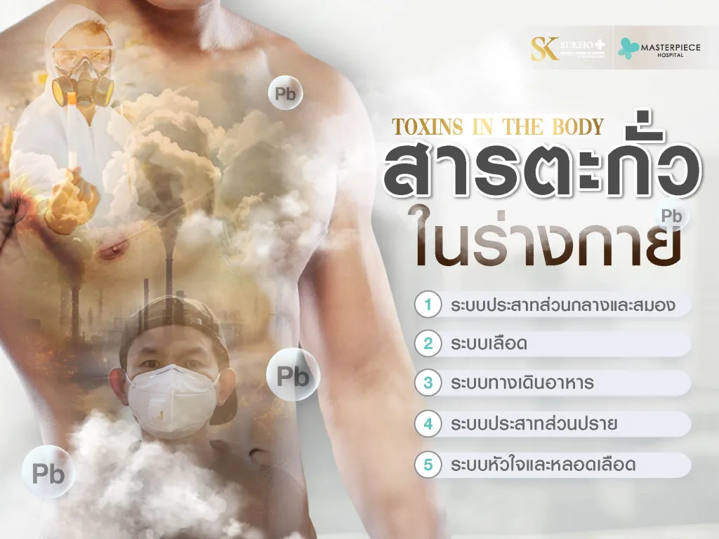 สารตะกั่วในร่างกาย