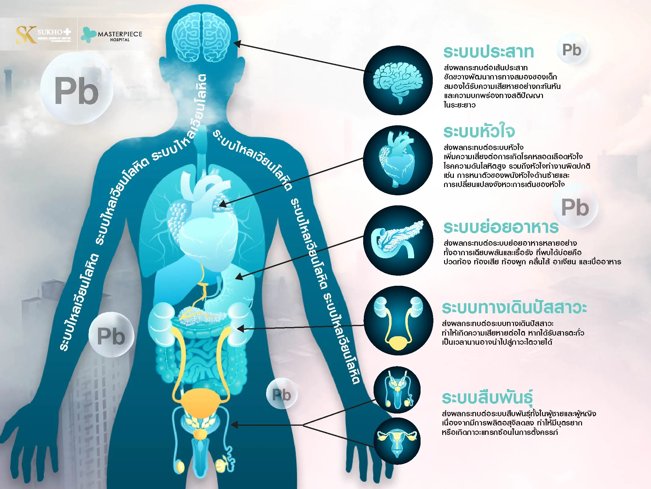 อันตรายจากสารตะกั่ว