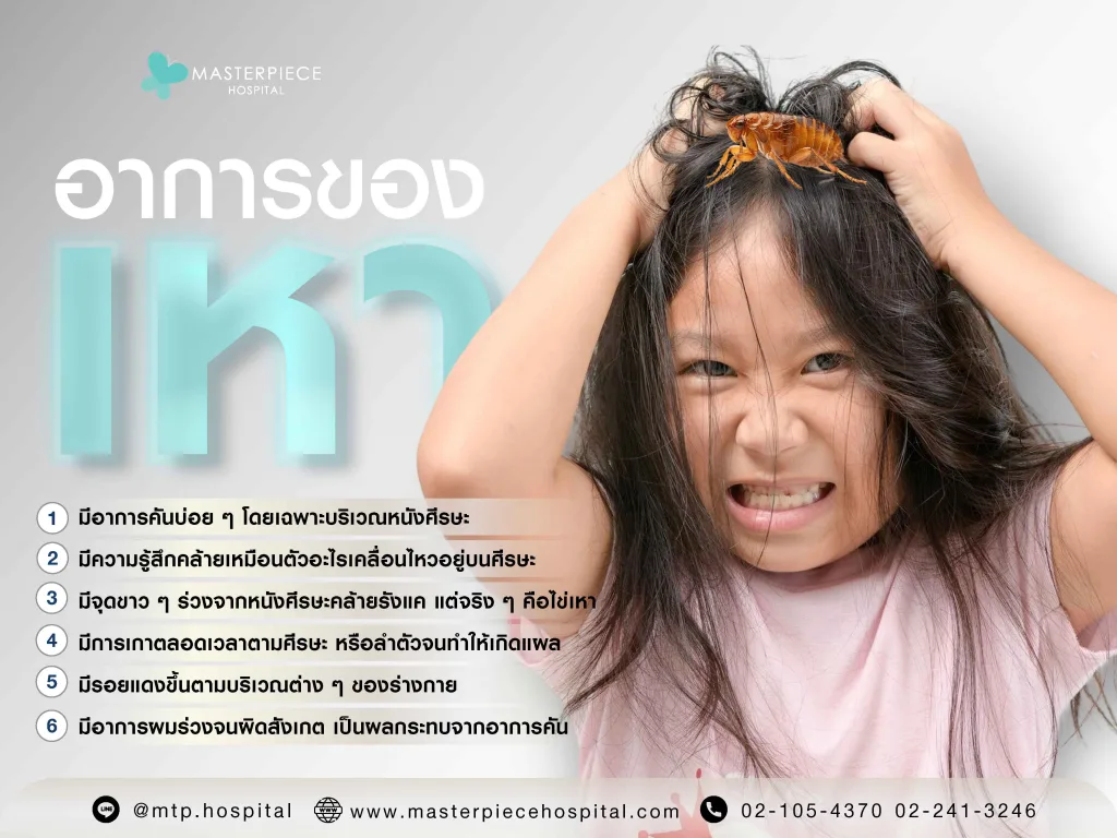 อาการของเหา สัญญาณเตือนที่บอกว่าคุณอาจมีแขกไม่ได้รับเชิญ