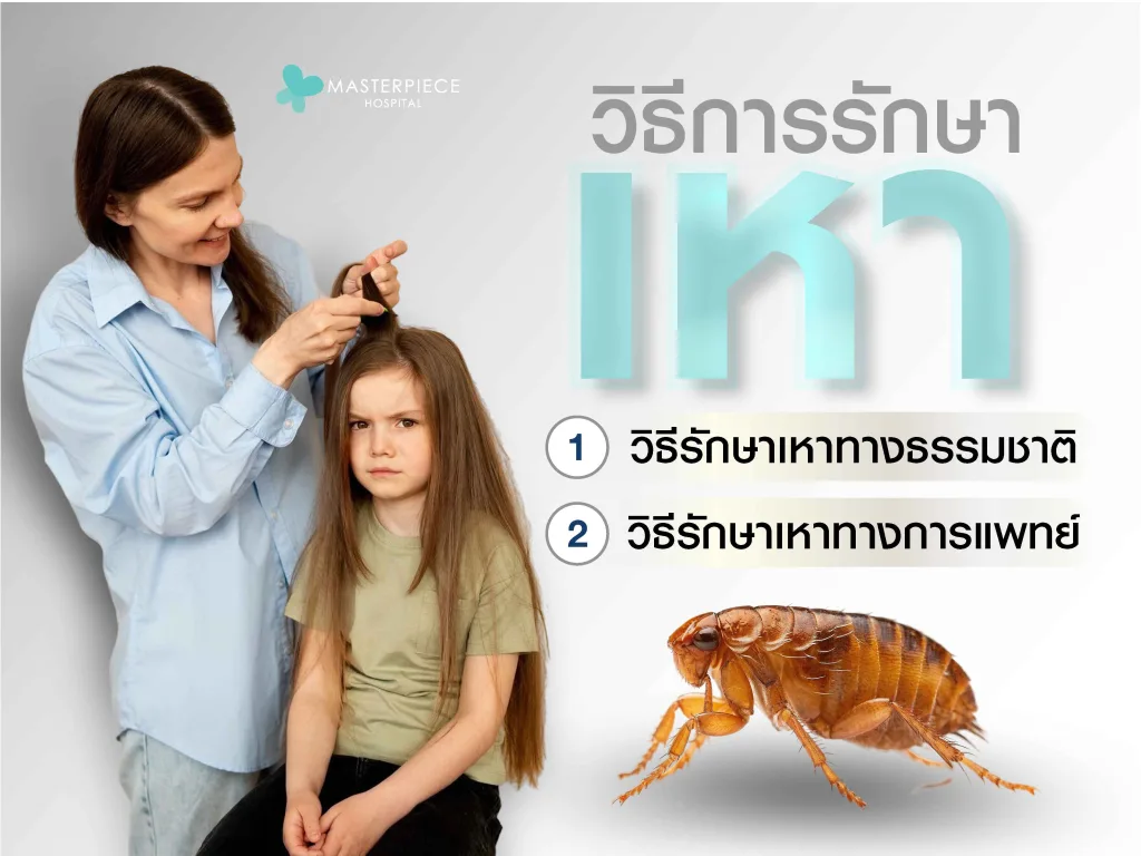 วิธีการรักษาเหา กำจัดปรสิตให้สิ้นซาก